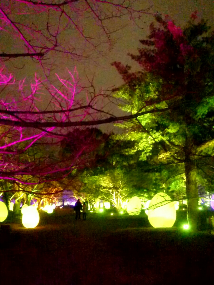 福岡城　チームラボ　城跡の光の祭