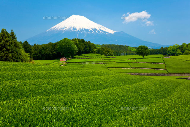 ＊＊＊＊＊お盆期間お休みのお知らせ＊＊＊＊＊